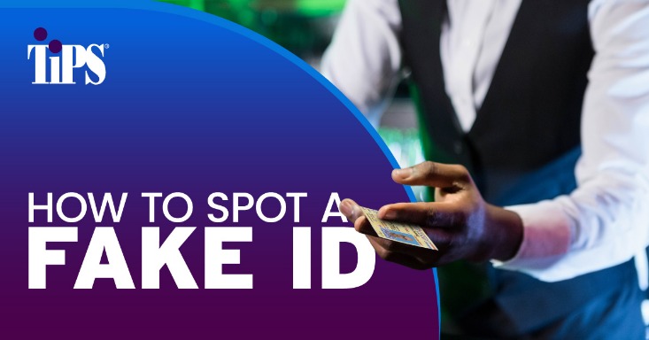 fake id onion