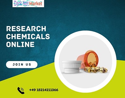 dark net market links 2026