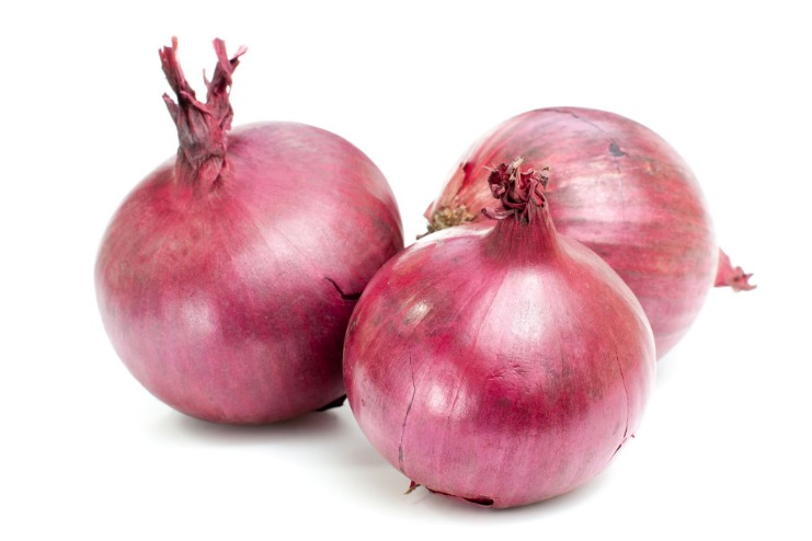 .onion links