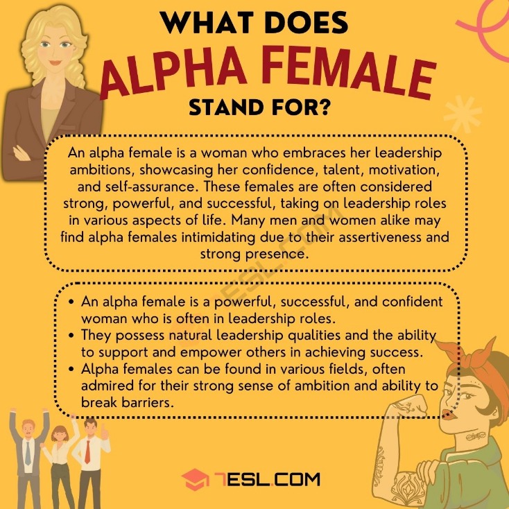 alpha market darknet