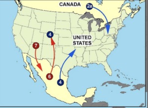 crypto darknet drug shop