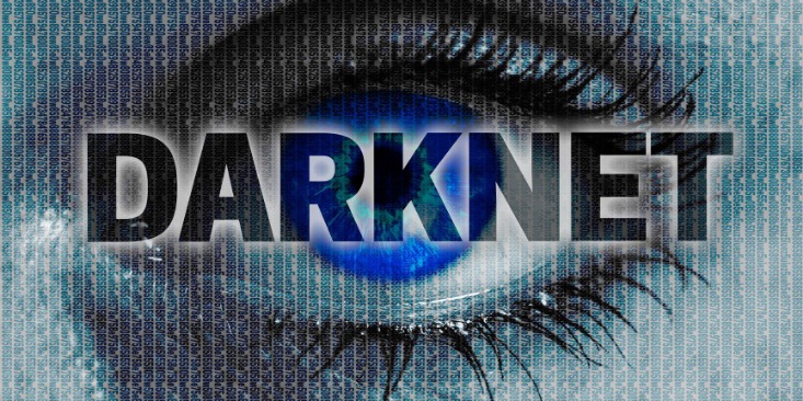 darknet market script