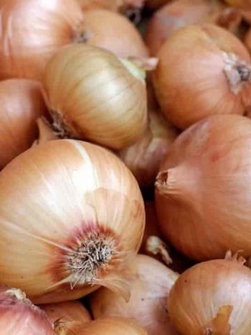 onions links