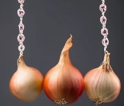 onion links 2026