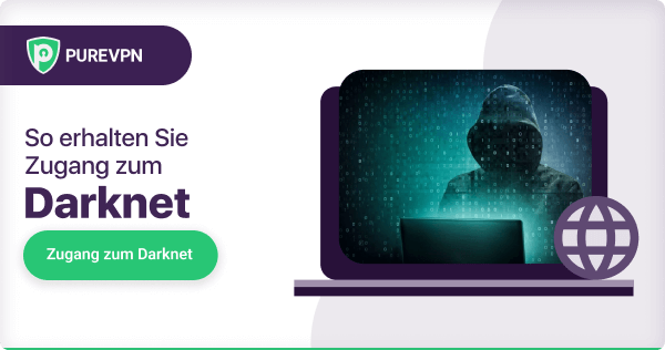 darknet market noobs
